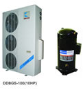 DDBGS-100