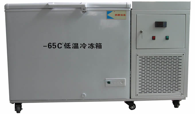 -65℃低温冰箱