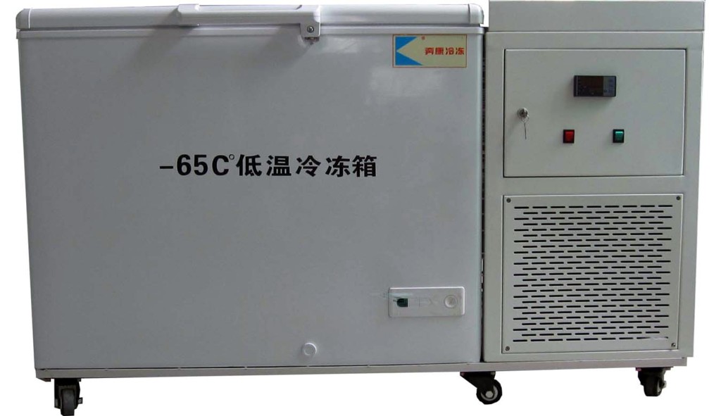 -65低温冰箱