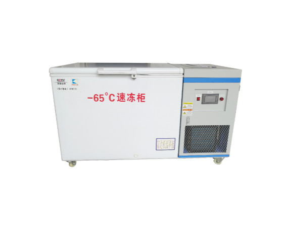 低温冰箱-BKDW-318L-65度