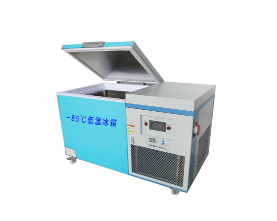 低温冰箱-BKDW-300L-85度