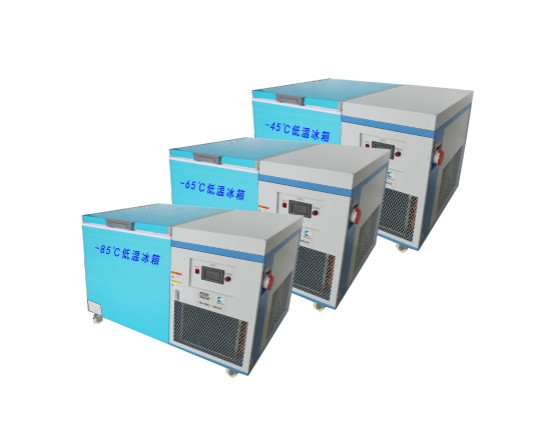 低温冰箱-BKDW-300L