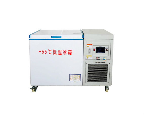 低温冰箱BKDW-200L-65度